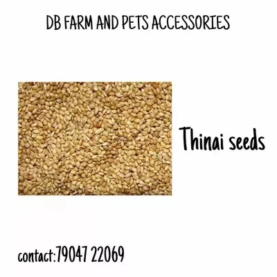 Thinai 50 Kg Bag