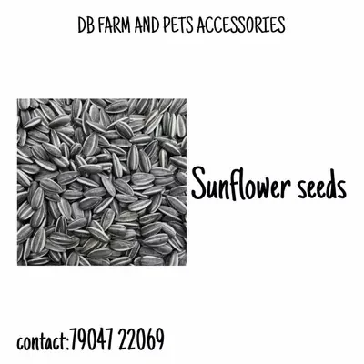Stripped Sunflower 40 Kg Bag