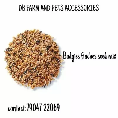 Budgies Seed Mix 1 Kg Pack