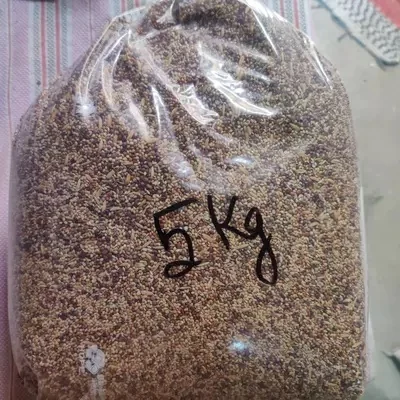 Budgies Mix 5 Kg Bag