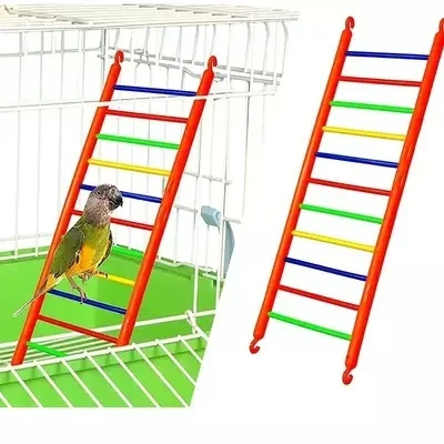 LADDER