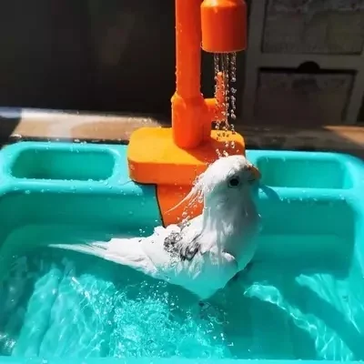 BIRDS AUTOMOBILE WATER BATH DUB