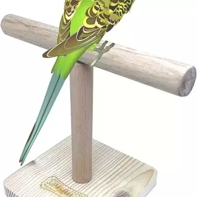 Perch Stand For Pets