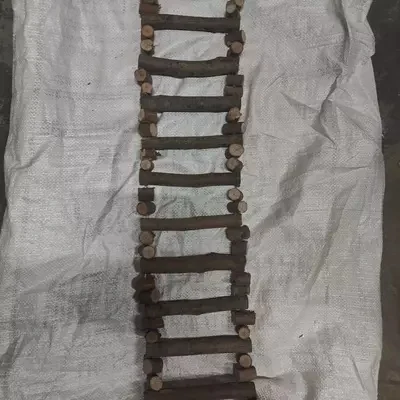 2 2 Feet Heavy Natural Ladder For Big Parrots