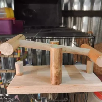 Seesaw Toy For Birds