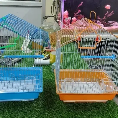 FANCY CAGE S
