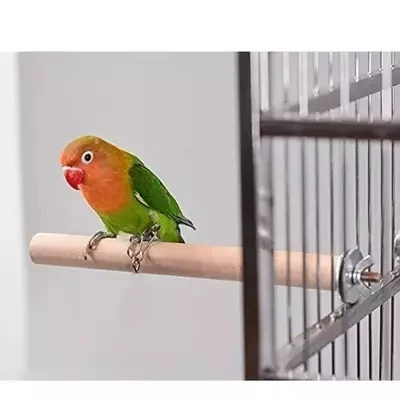 Imported Branches For Pets 4 Sizes