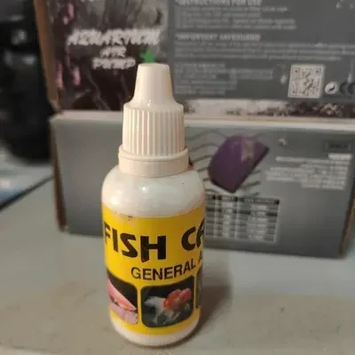 Fish Care