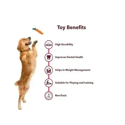 DOG CHEW TOY CARROT