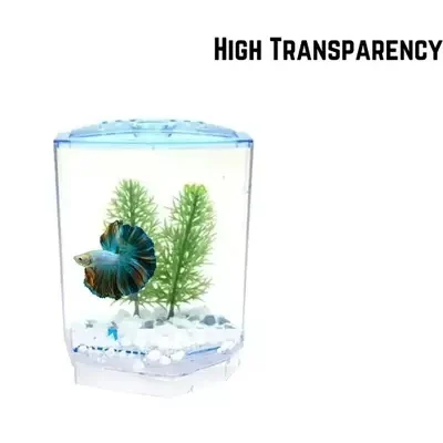 BETTA HOUSE SINGLE
