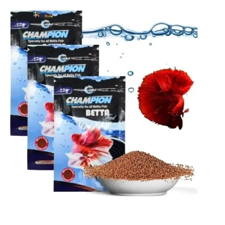 CHAMPION BETTA 1 PC